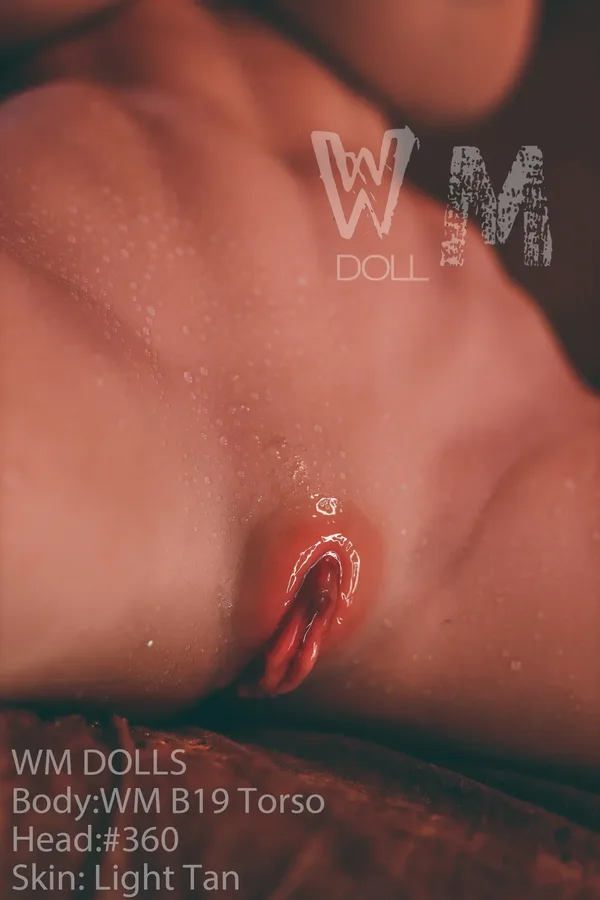 WM B19 Torso - Linda