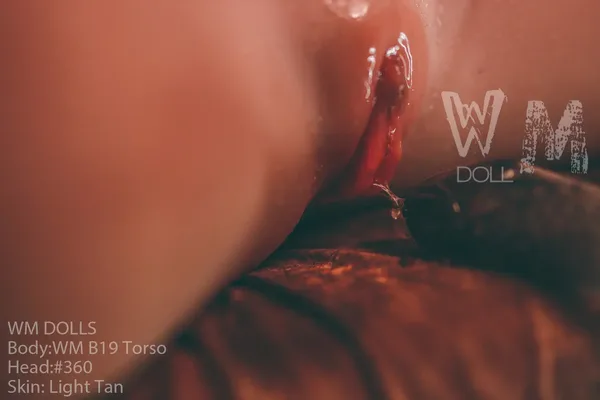 WM B19 Torso - Linda